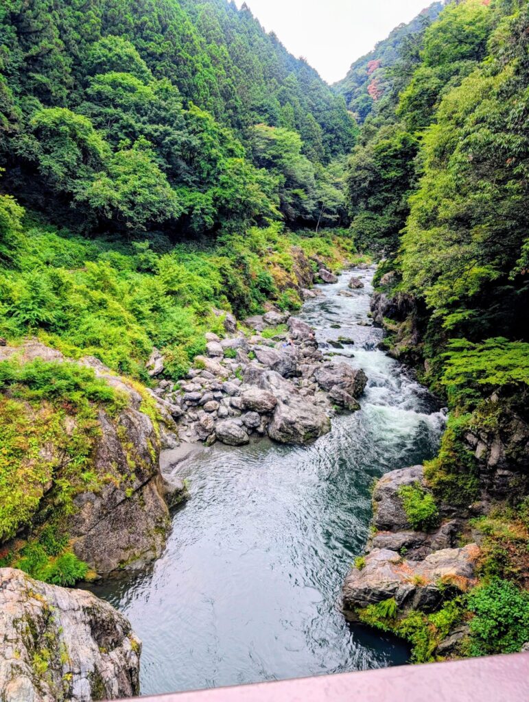鳩ノ巣渓谷の吊り橋から見た風景