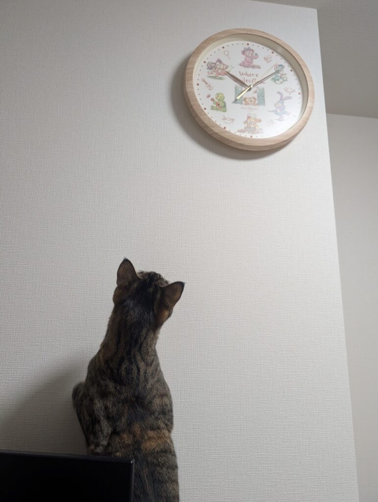 ダッフィー＆フレンズの掛け時計を見る猫