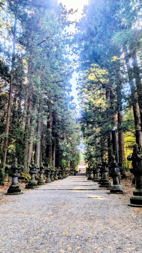 北口本宮冨士浅間神社の杉並木
